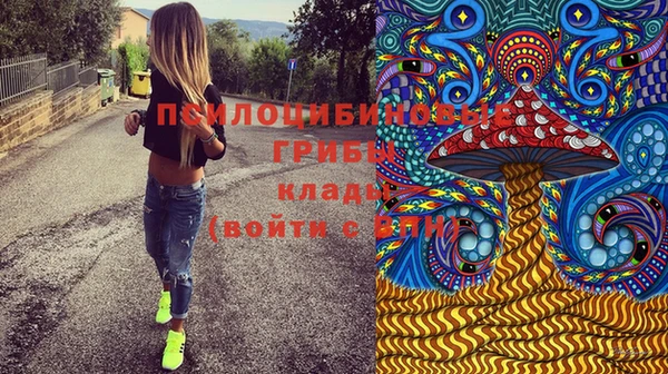 эйфоретик Алексеевка